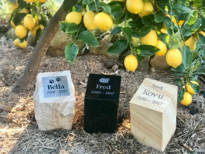 Benefits of a Pet Memorial