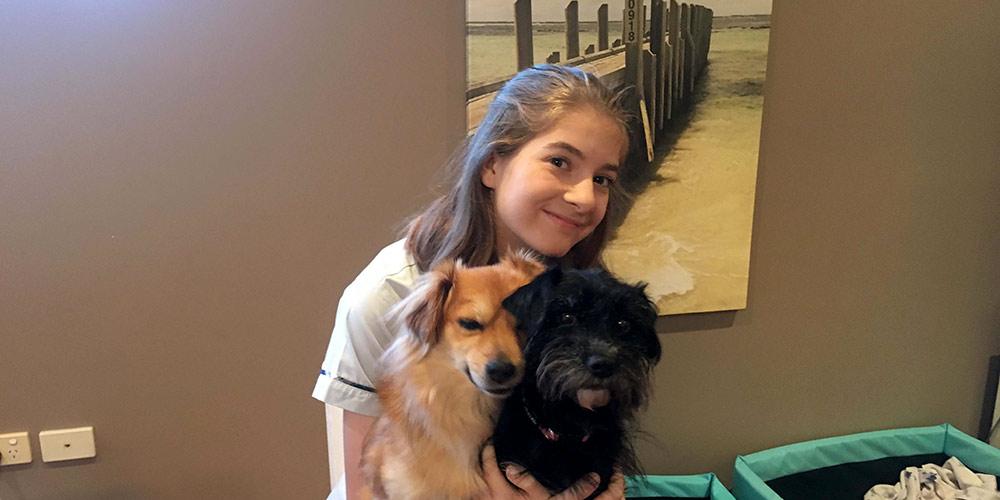 Key to Successful Doggy Introductions?