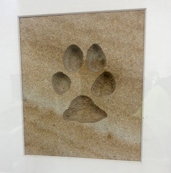 Lasting Impression Frame - Forever In Stone