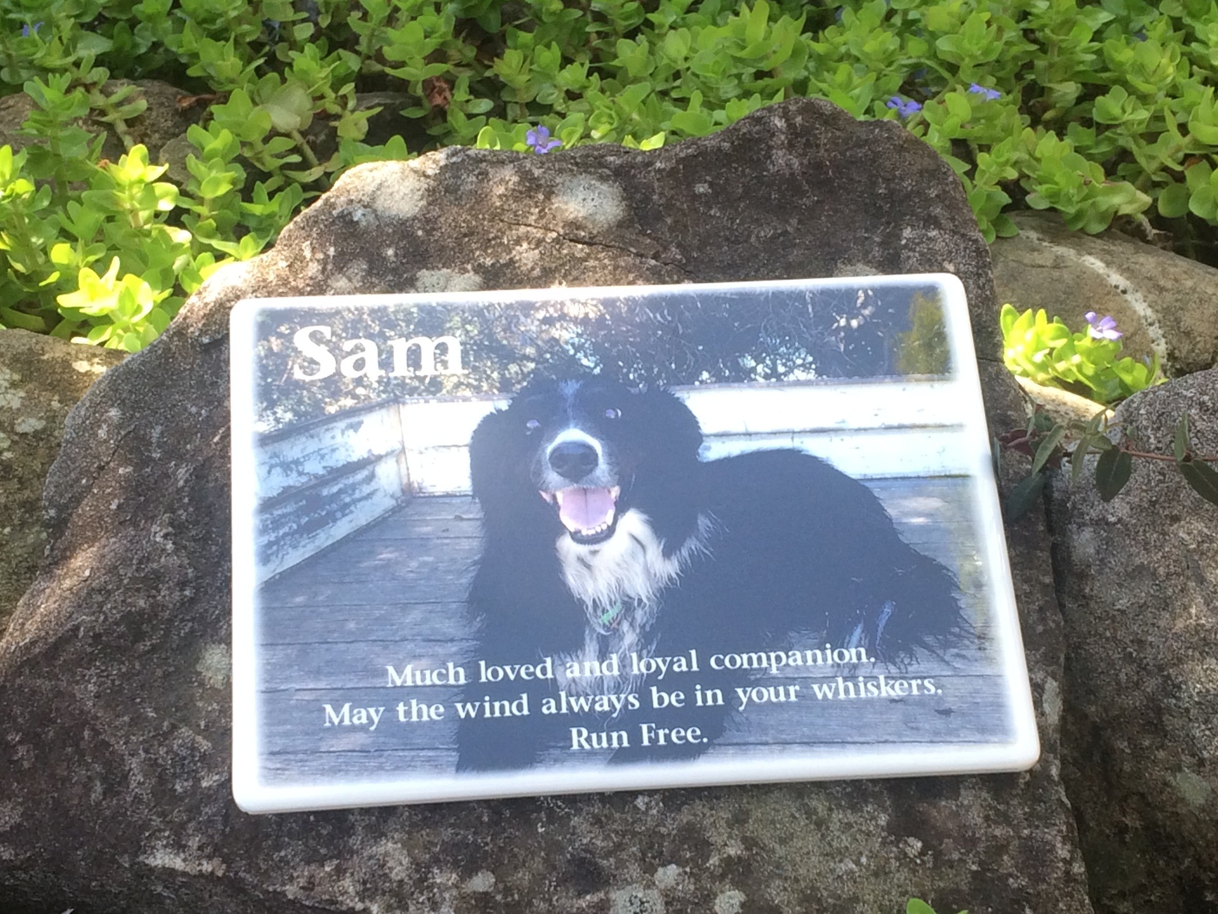 Photo Ceramic Plaque Pet Memorial