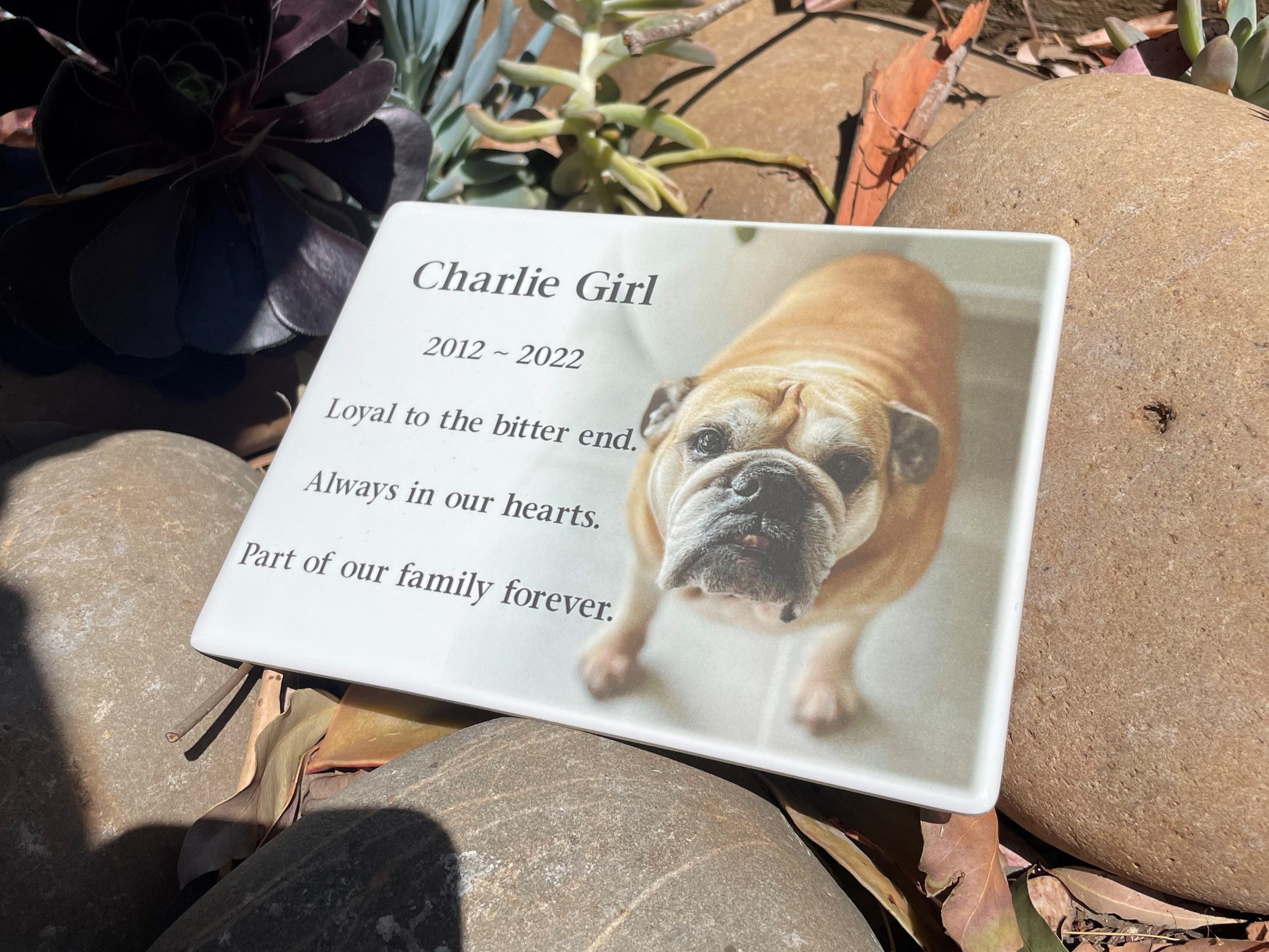 Photo Ceramic Plaque Pet Memorial