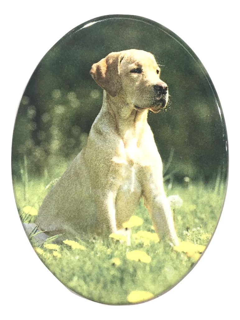 Stainless Steel Oval Photo Plaque Pet Memorial