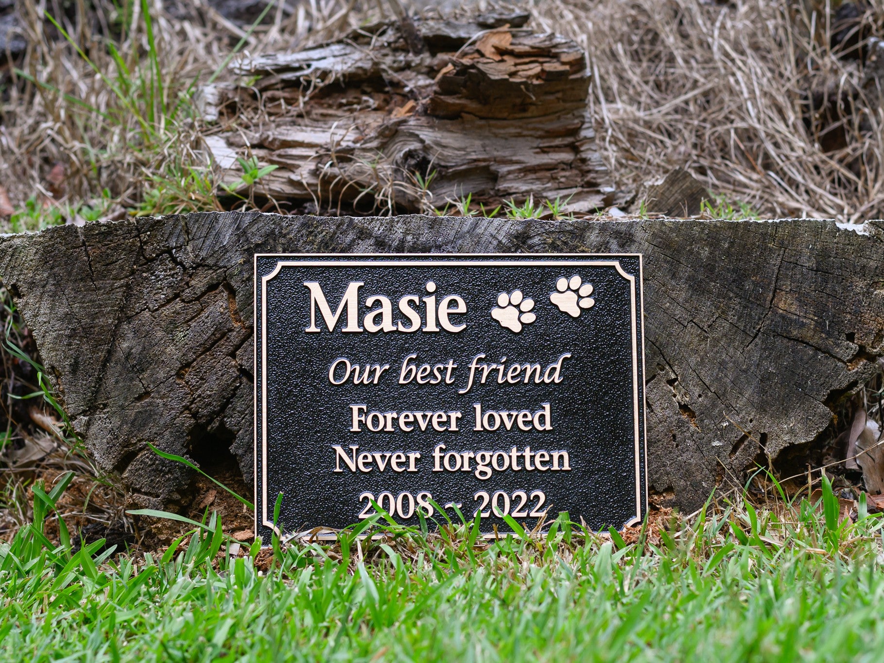 Bronze Plaque Pet Memorial