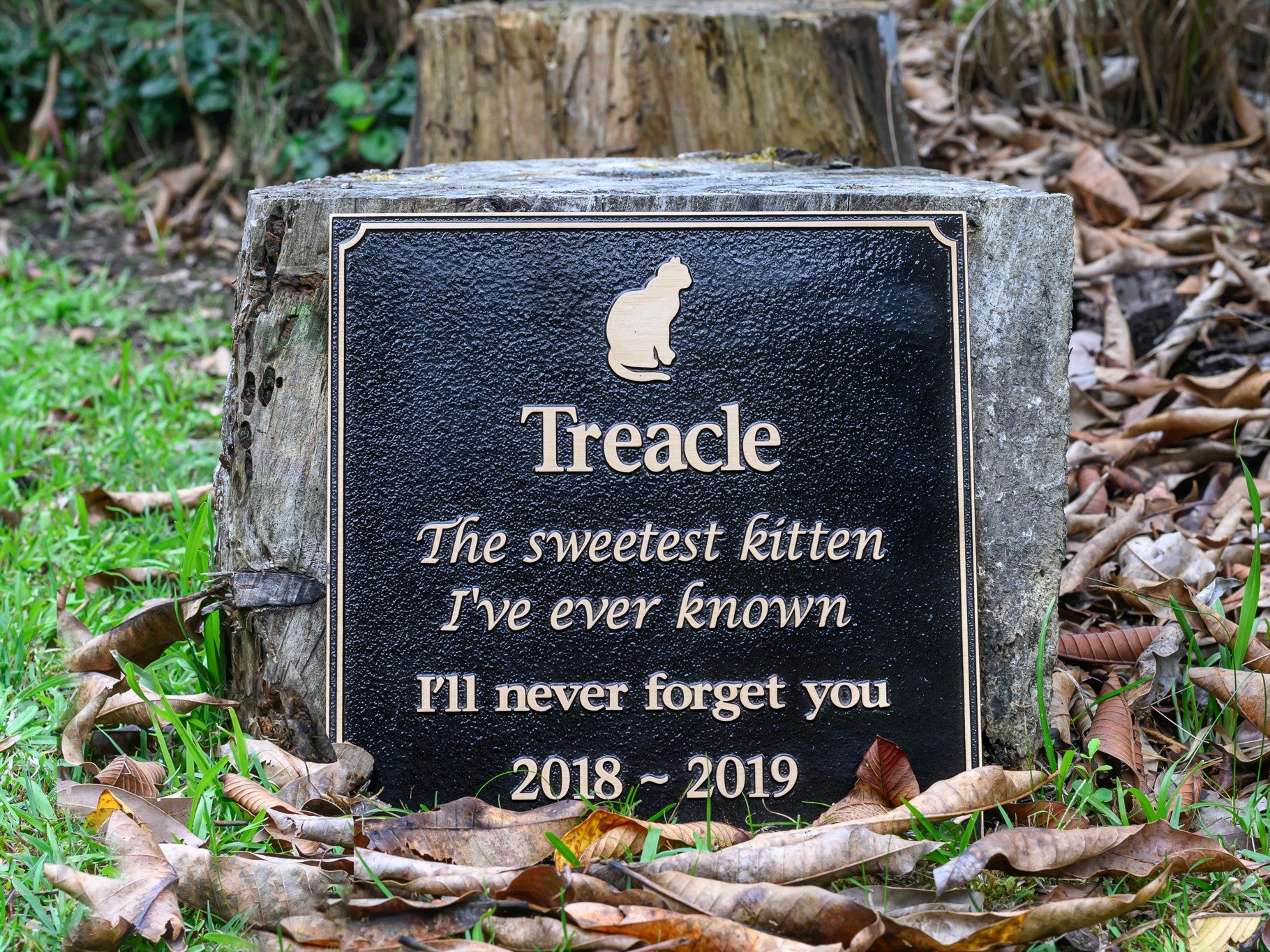 Bronze Plaque Pet Memorial