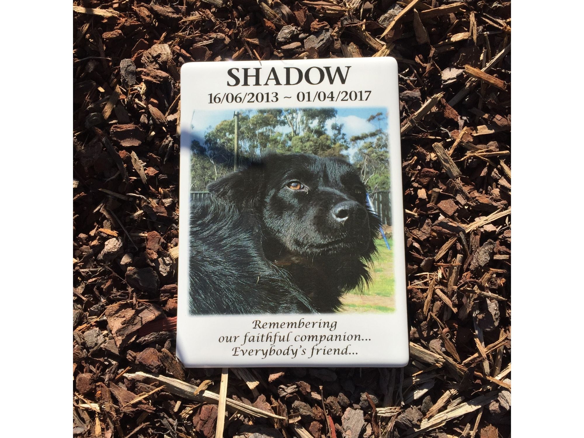 Photo Ceramic Plaque Pet Memorial