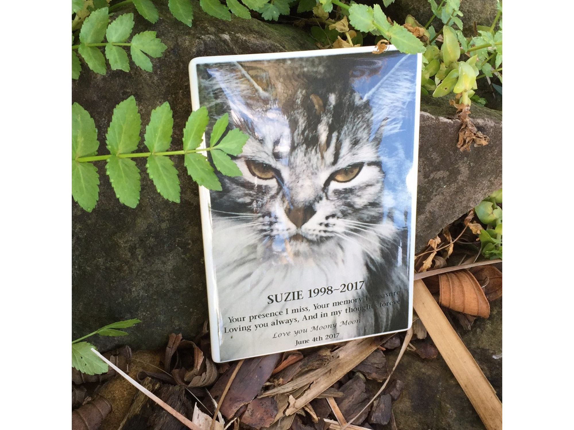 Photo Ceramic Plaque Pet Memorial
