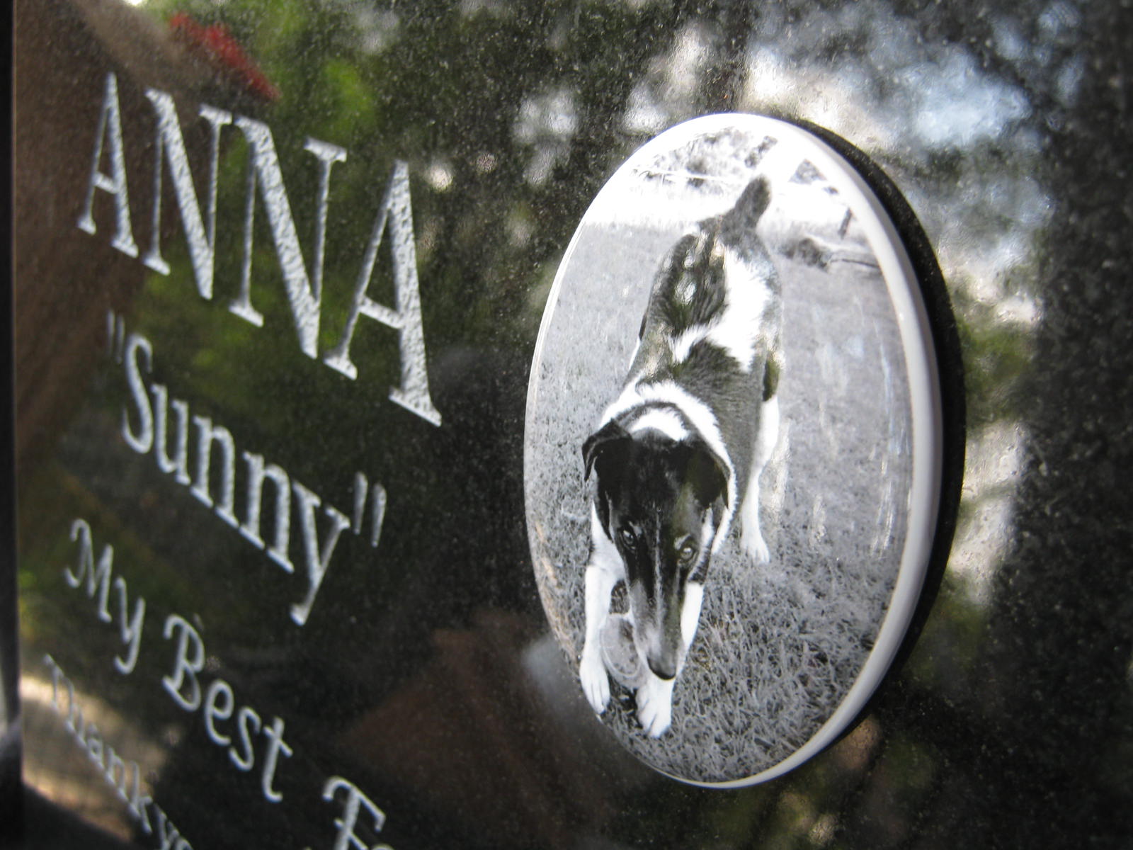 Granite Plaque Pet Memorial