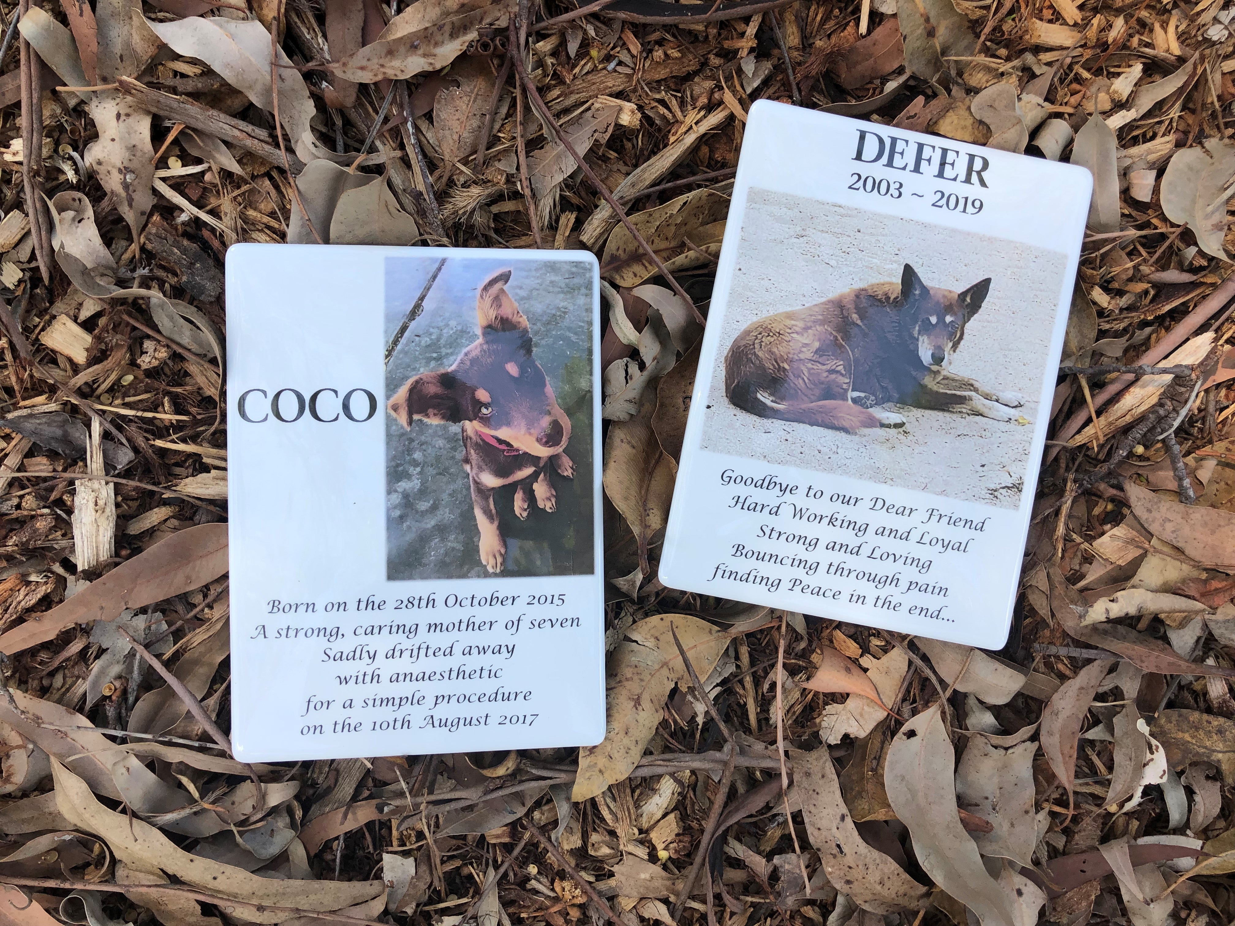 Photo Ceramic Plaque Pet Memorial