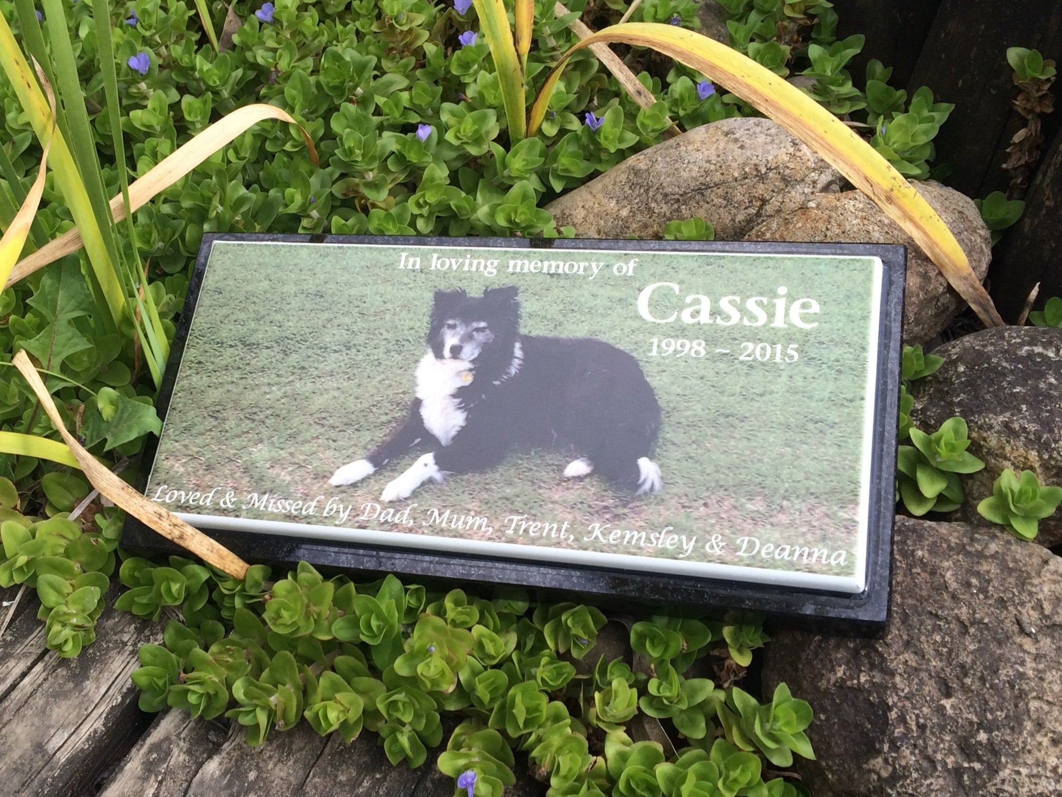 Photo Enamel Plaque on Granite Pet Memorial