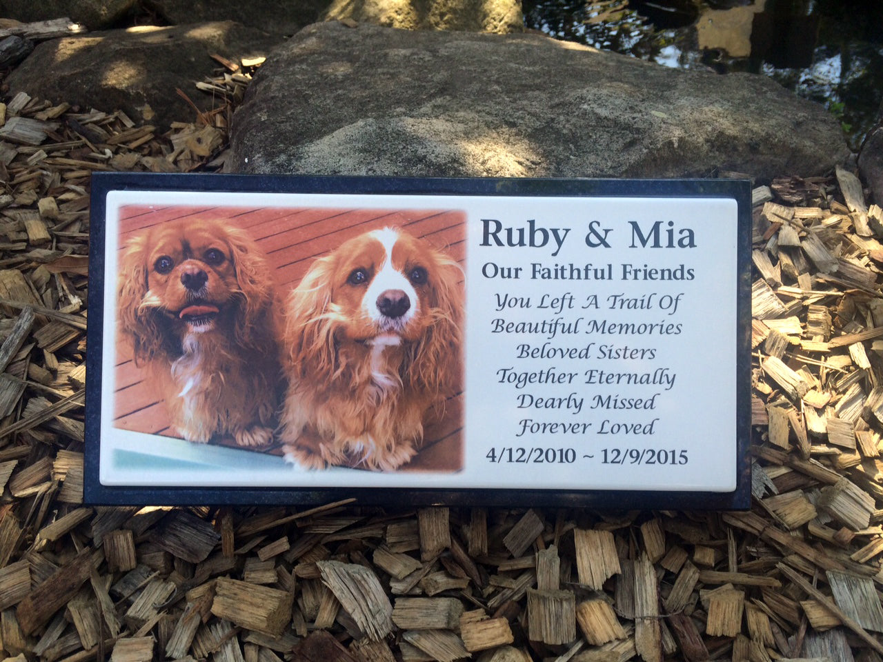 Photo Enamel Plaque on Granite Pet Memorial
