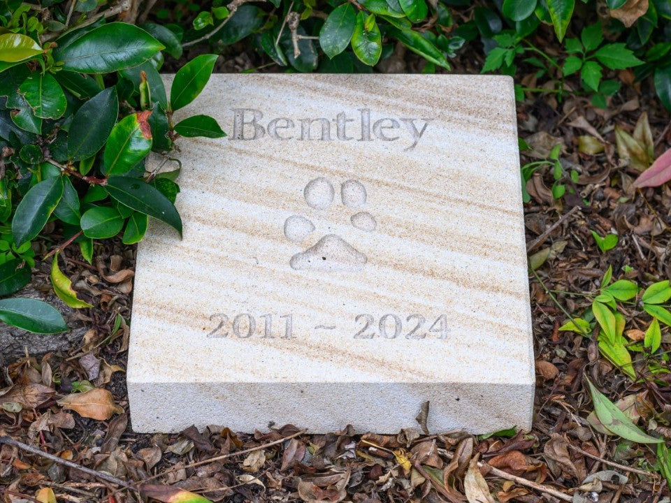 Forever Paw Print In Stone