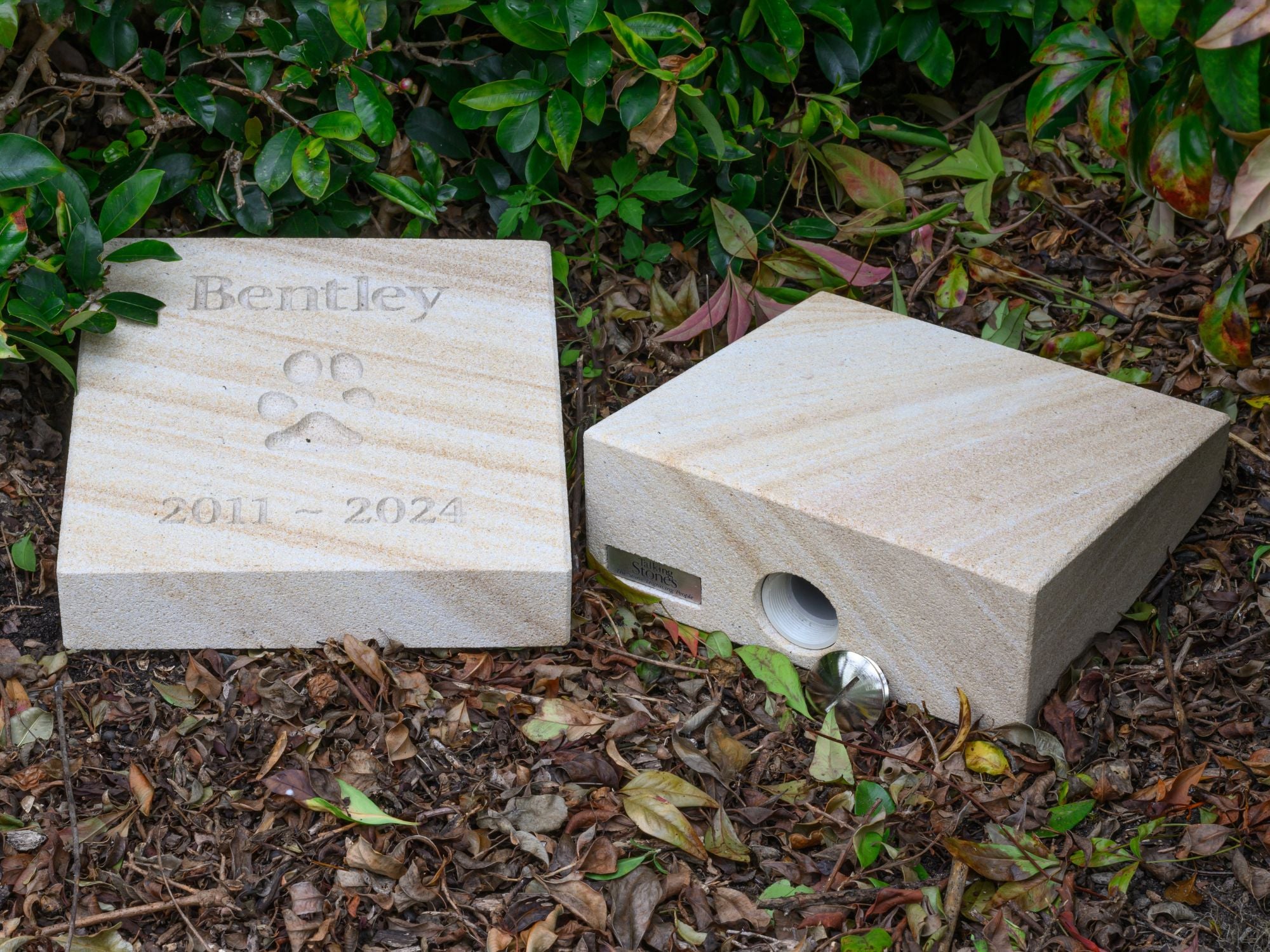 Forever Paw Print In Stone