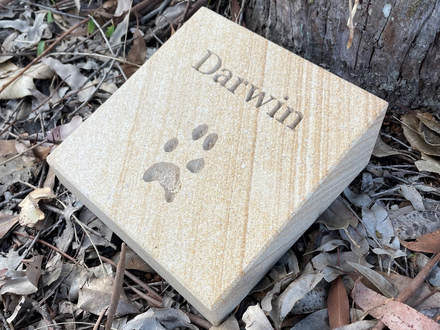 Forever Paw Print In Stone