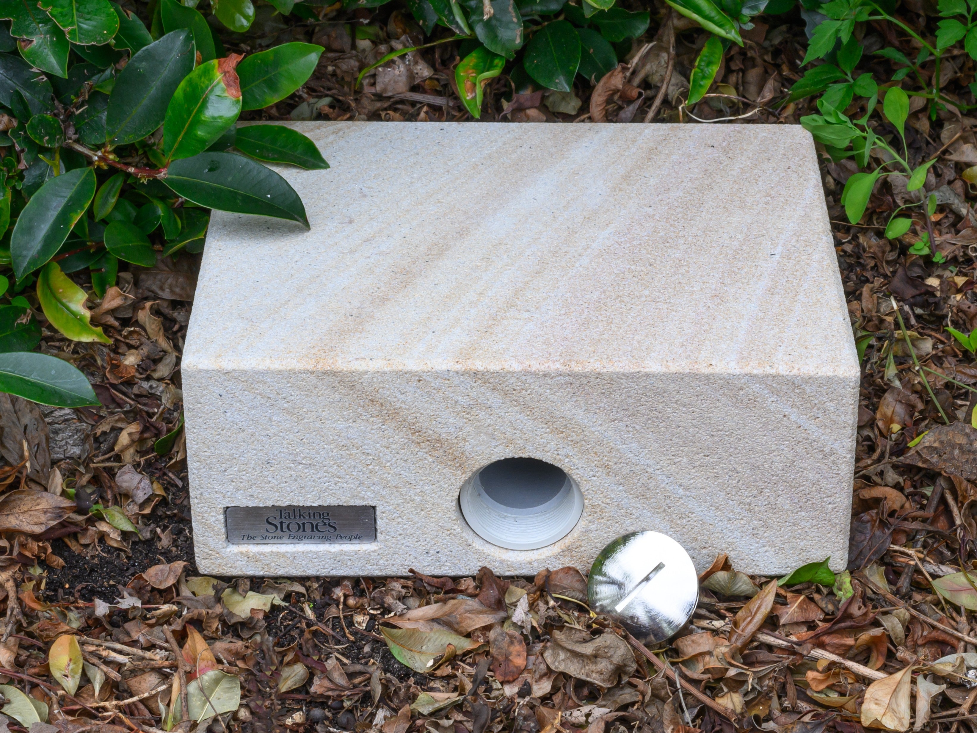 Forever Paw Print In Stone