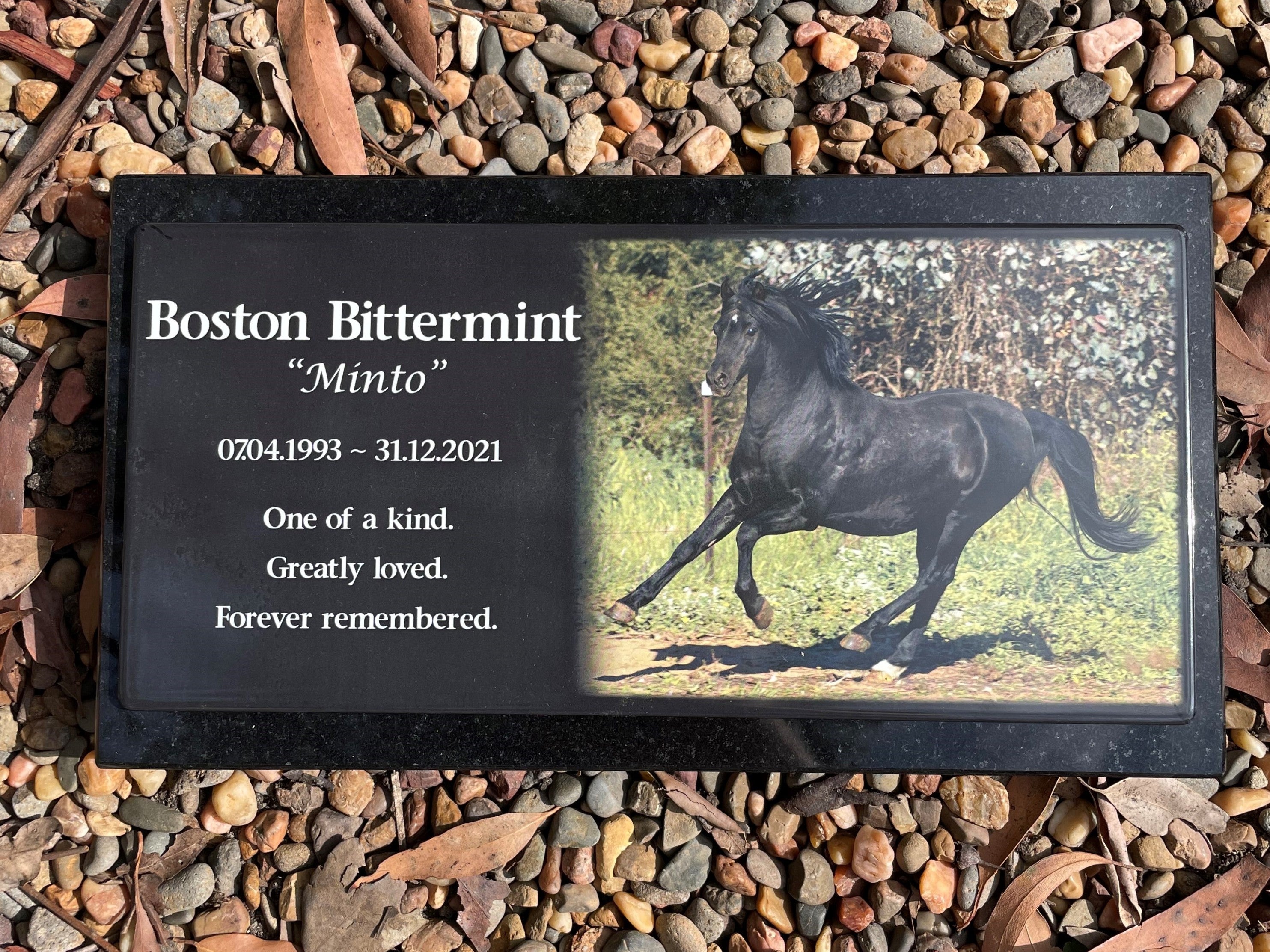 Photo Enamel Plaque on Granite Pet Memorial
