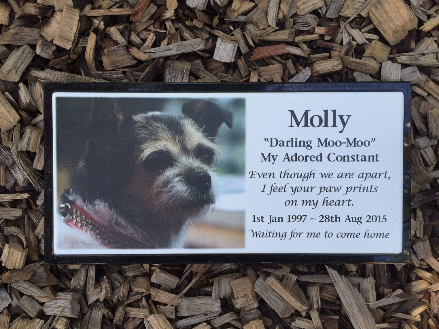 Photo Enamel Plaque on Granite Pet Memorial
