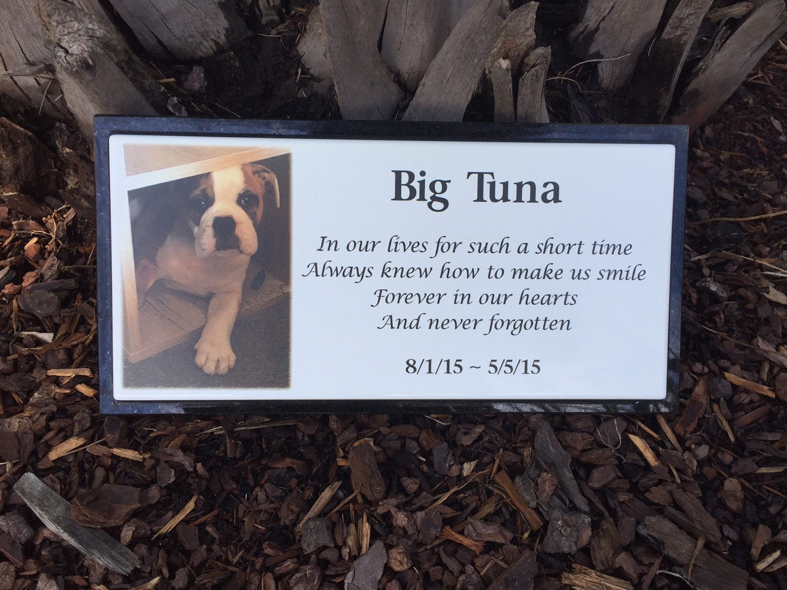 Photo Enamel Plaque on Granite Pet Memorial