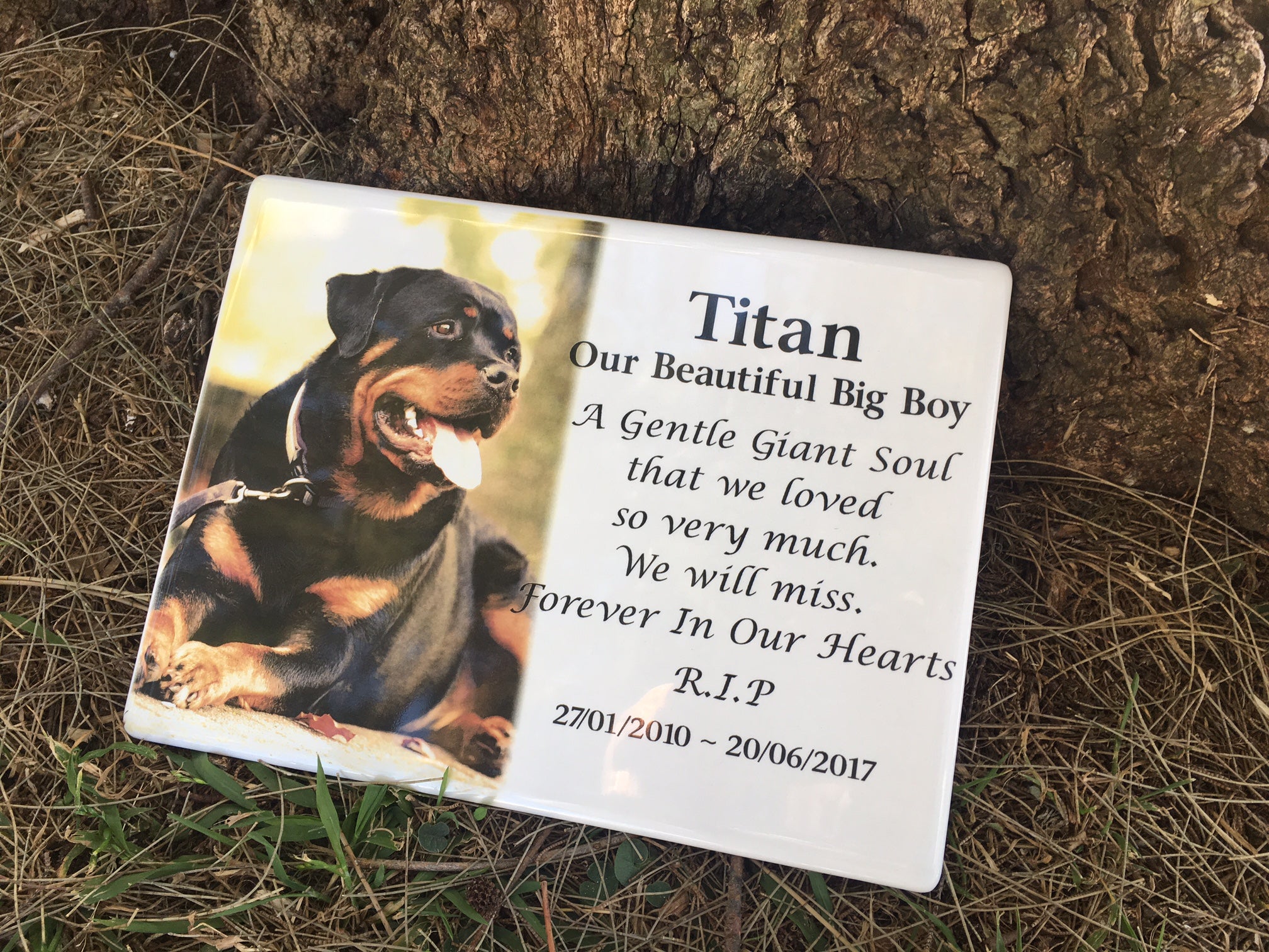 Photo Ceramic Plaque Pet Memorial