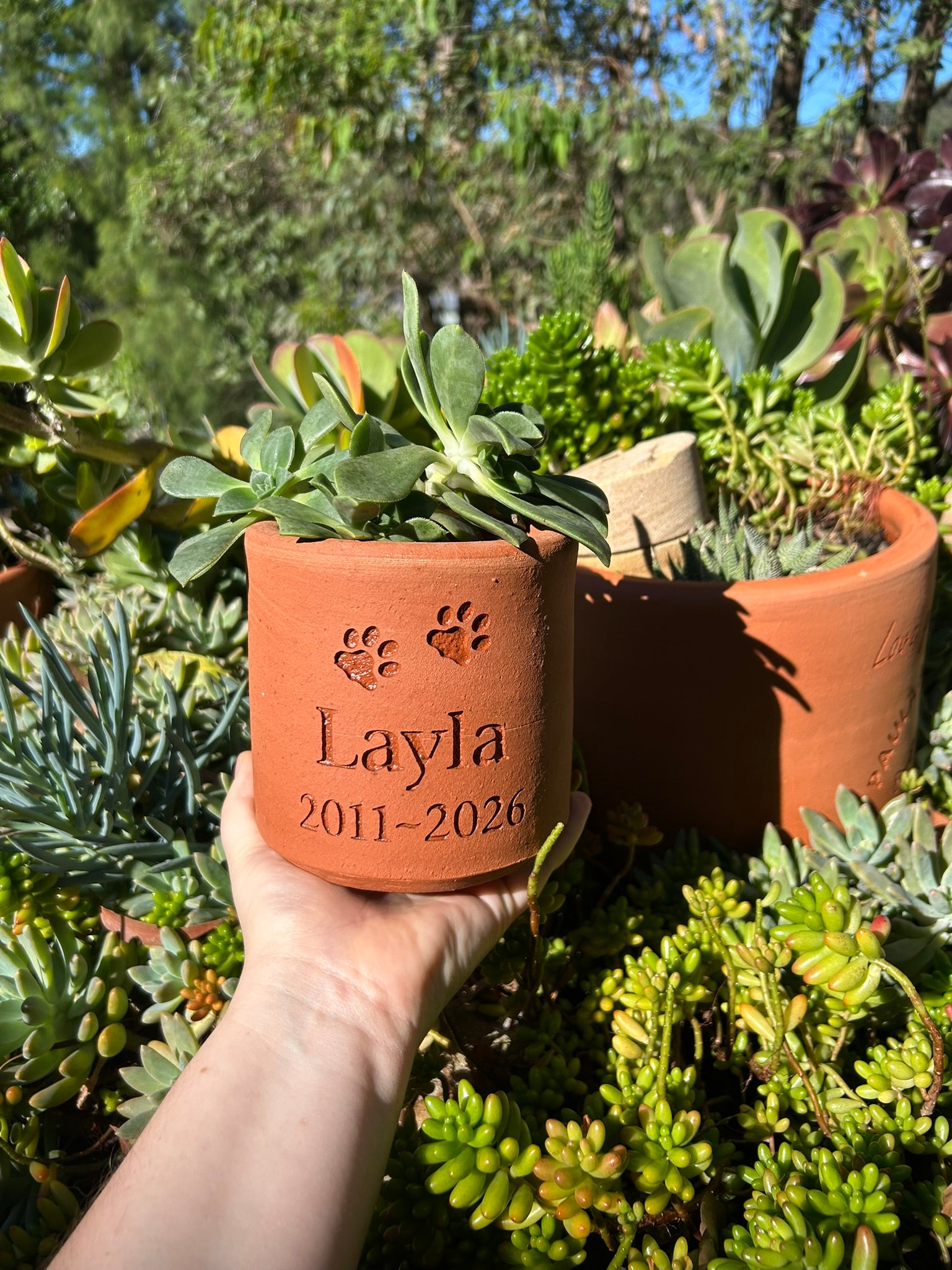 Terracotta pot with engraved text held in front of a garden