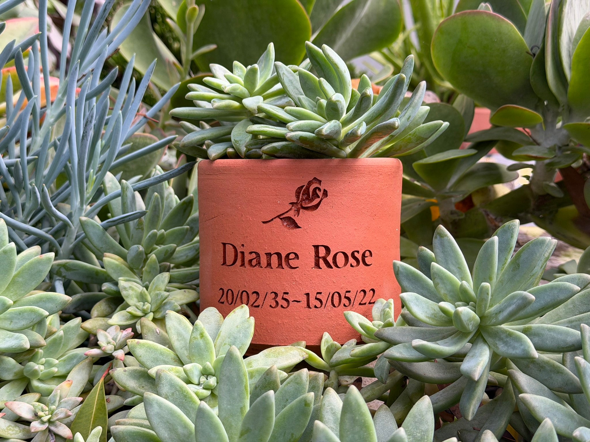 Plant Pot Memorial for People - Small