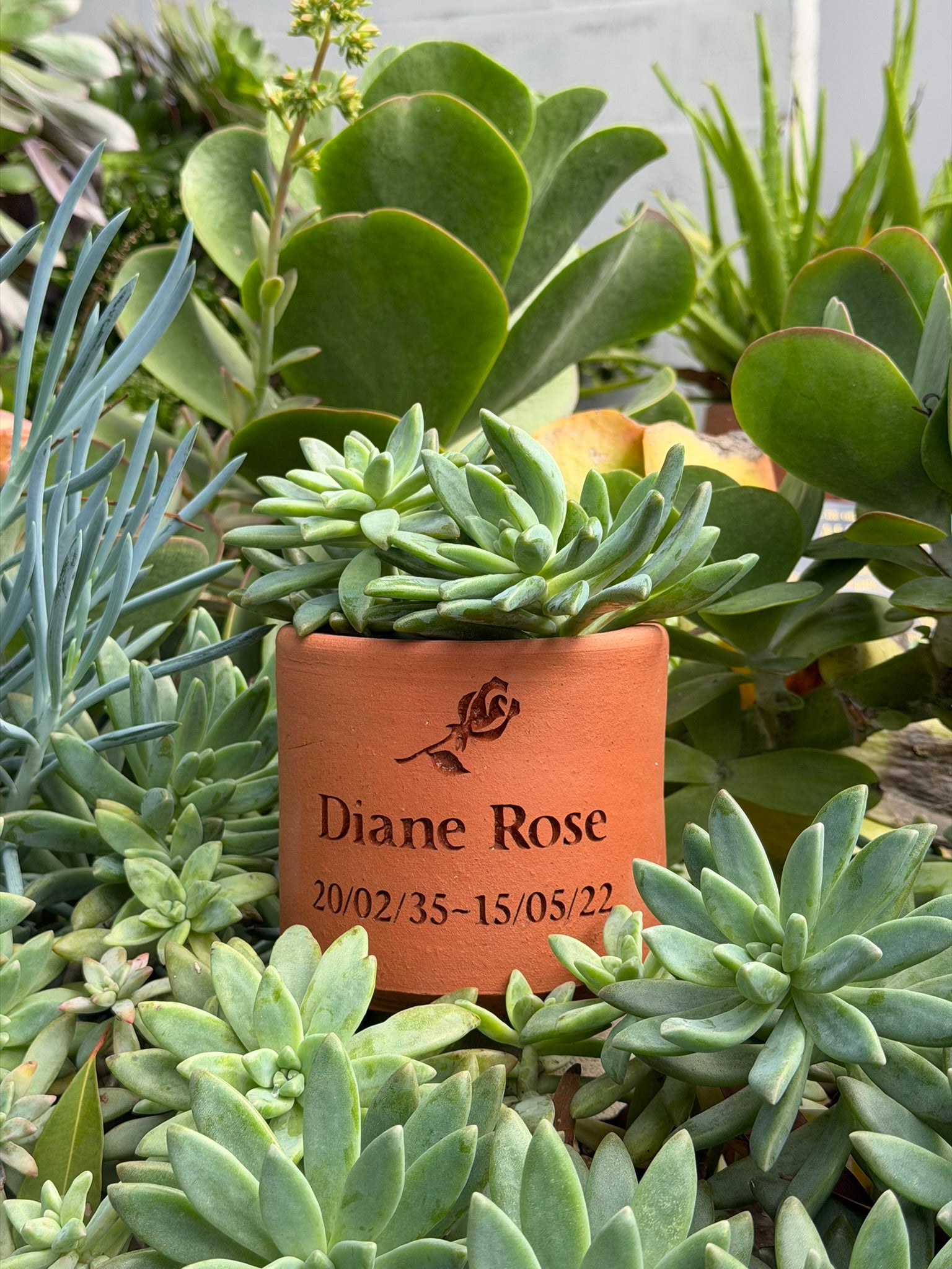 Plant Pot Memorial for People - Small