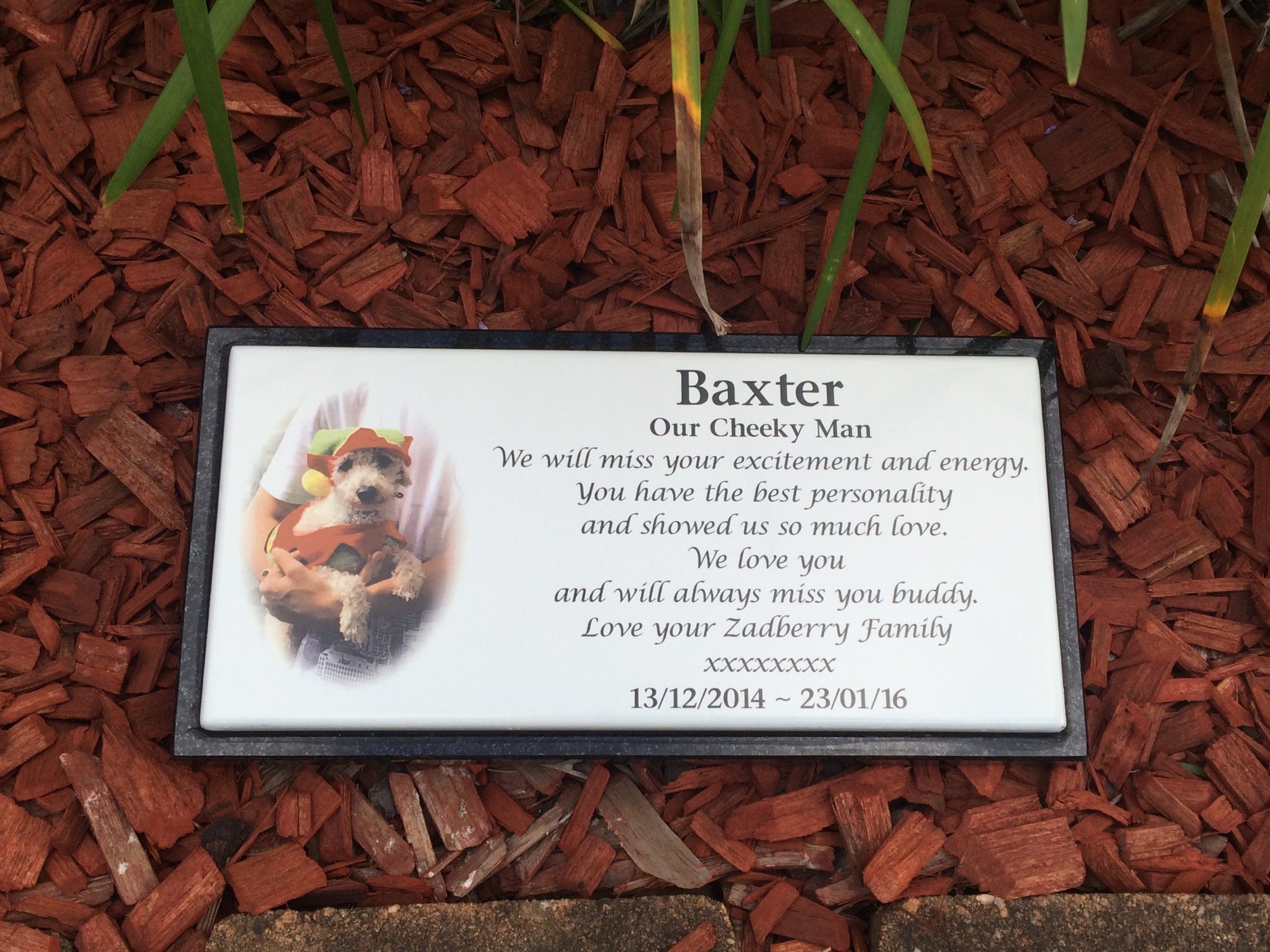 Photo Enamel Plaque on Granite Pet Memorial