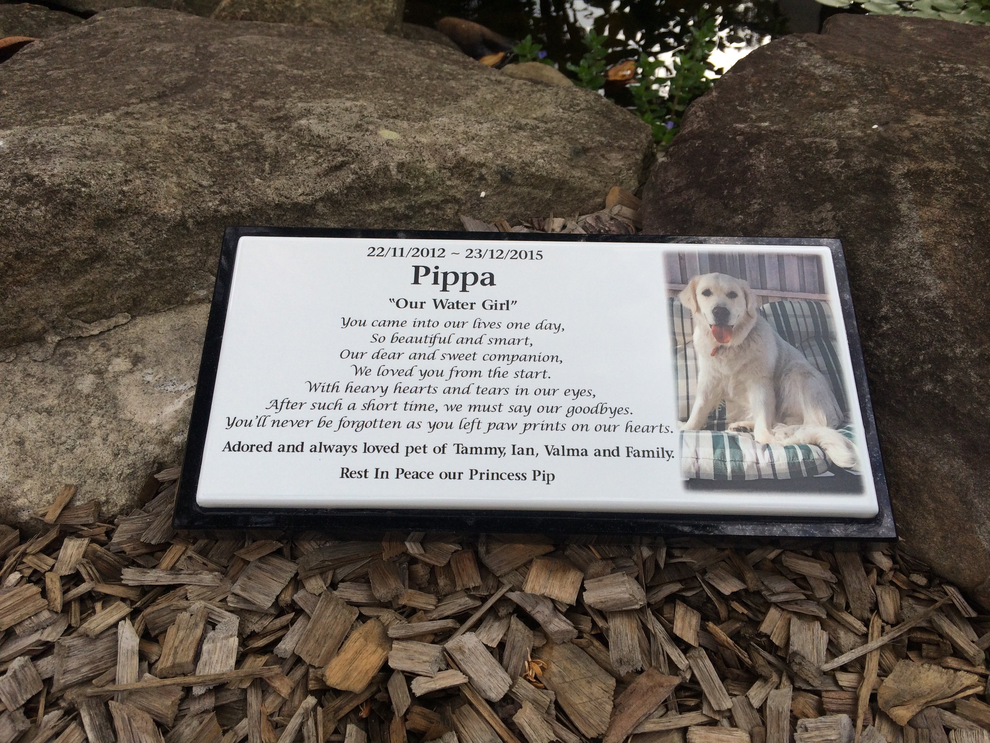 Photo Enamel Plaque on Granite Pet Memorial