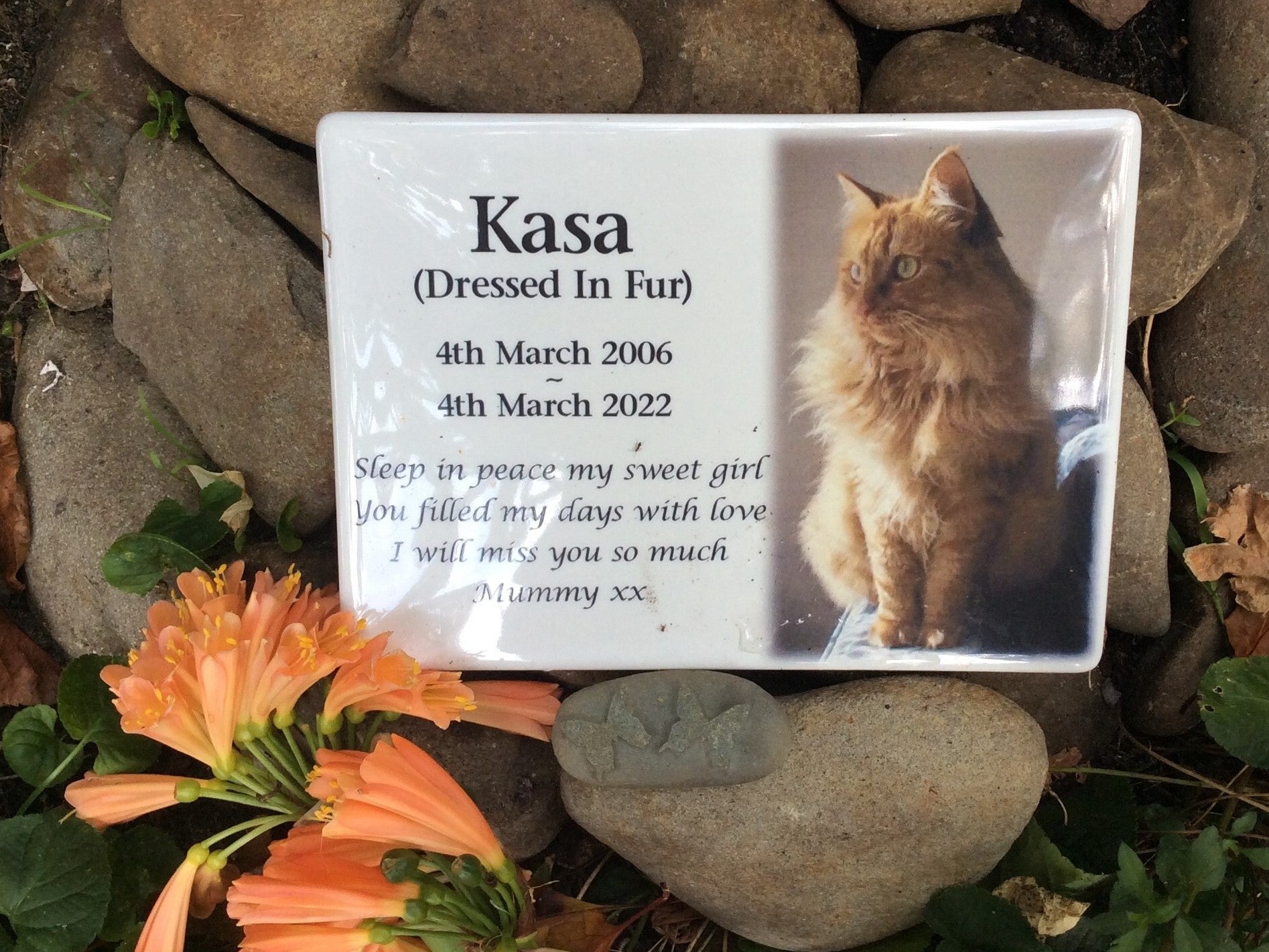 Photo Ceramic Plaque Pet Memorial