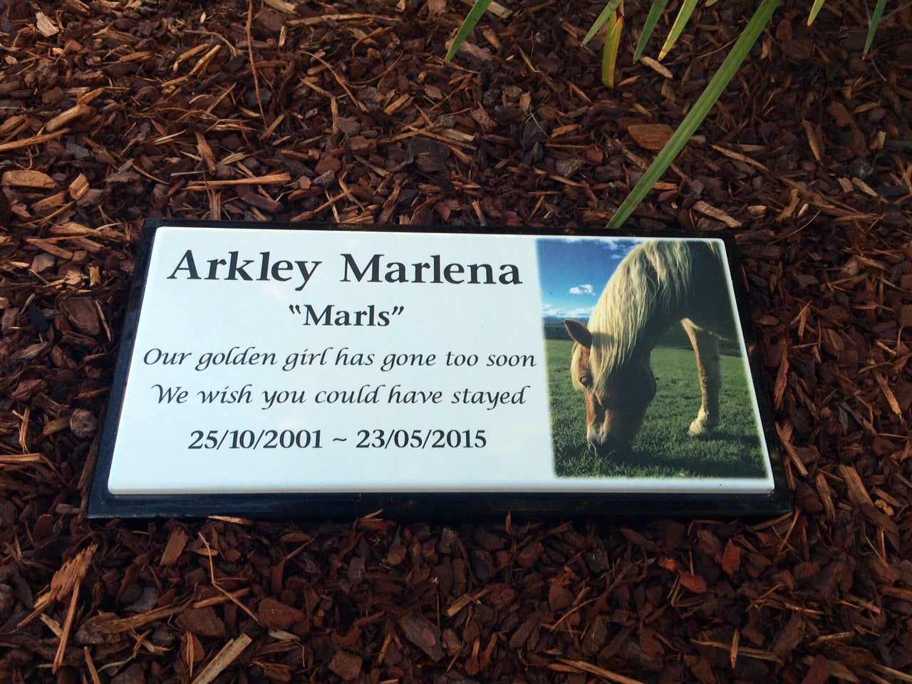 Photo Enamel Plaque on Granite Pet Memorial