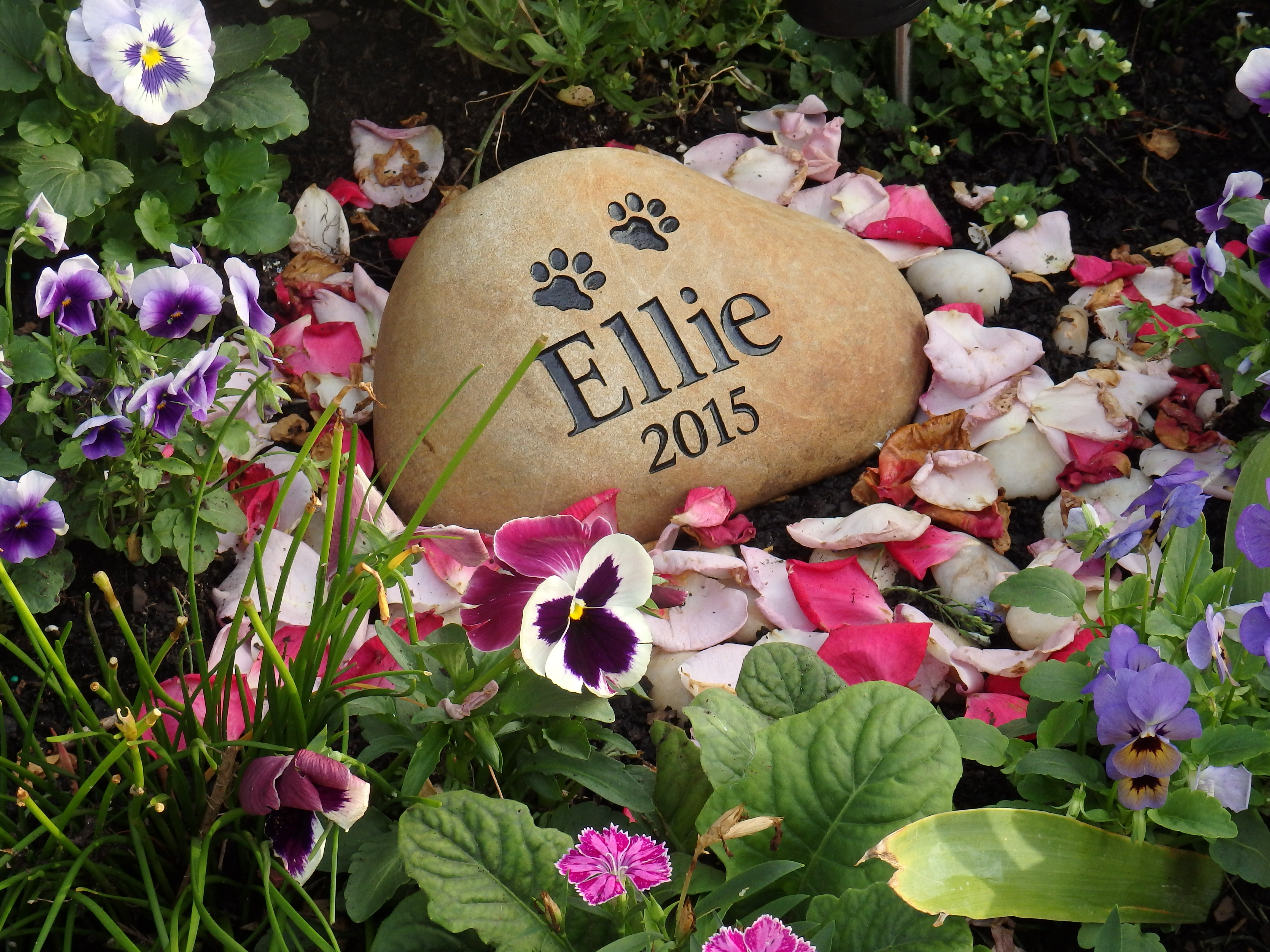 Tumbled Riverstone Pet Memorial