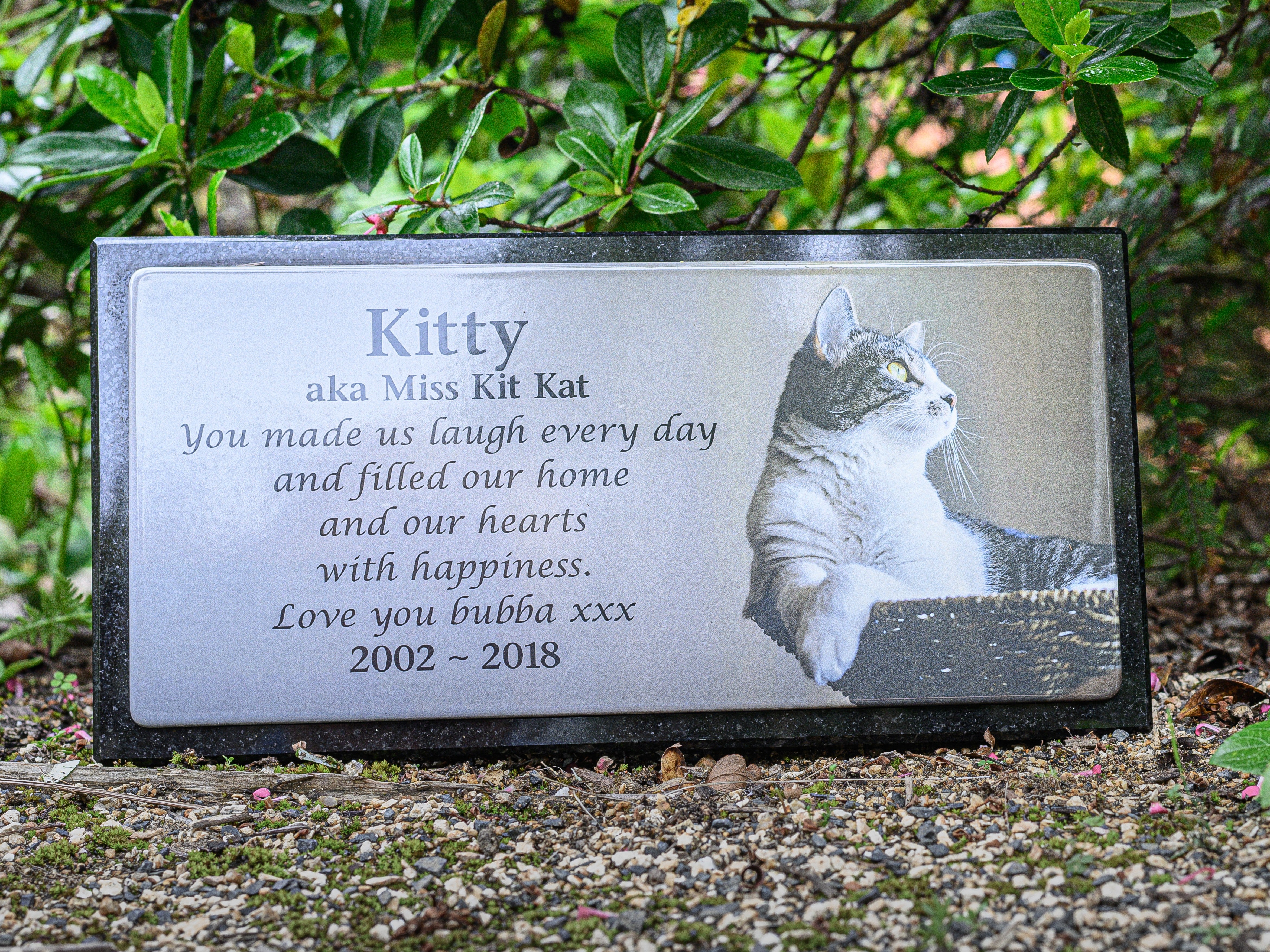 Photo Enamel Plaque on Granite Pet Memorial