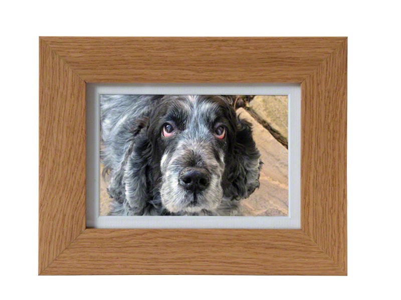 Tribute Oak Photo Frame Pet Urn