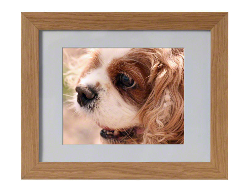 Tribute Oak Photo Frame Pet Urn