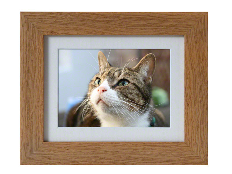 Tribute Oak Photo Frame Pet Urn