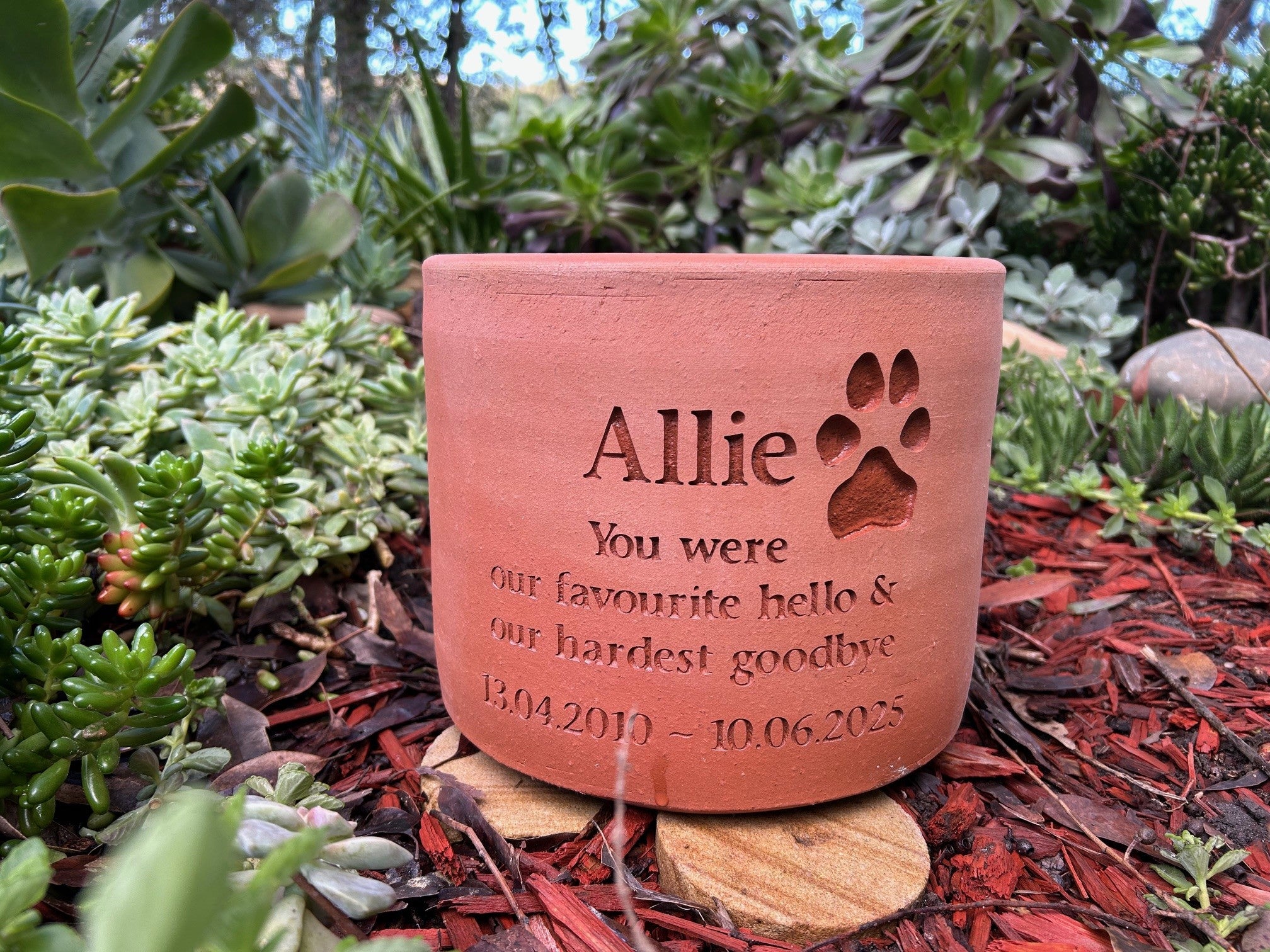 Plant Pot Pet Memorial