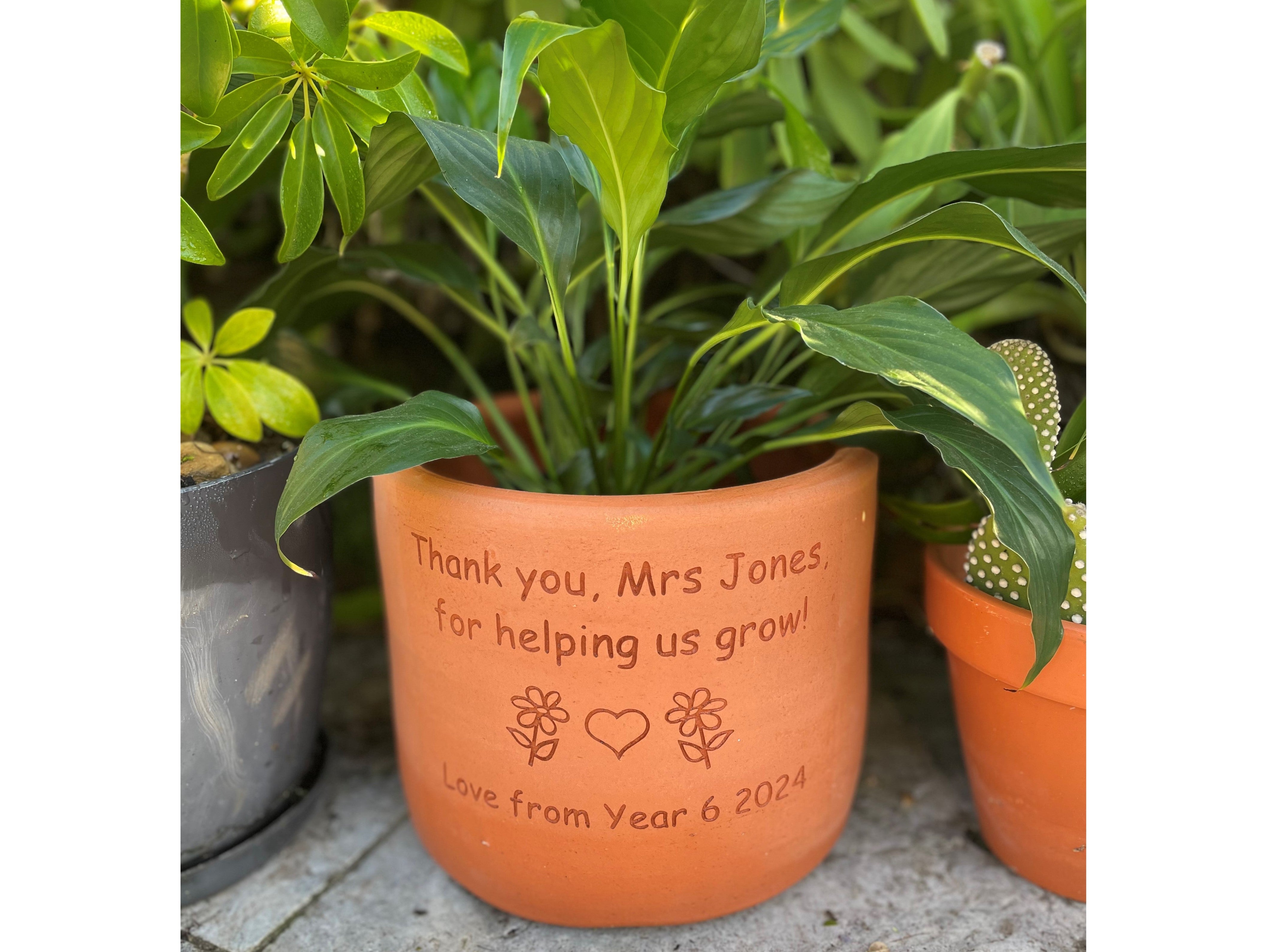 talking plant pot Plant Pot – Talking Stones