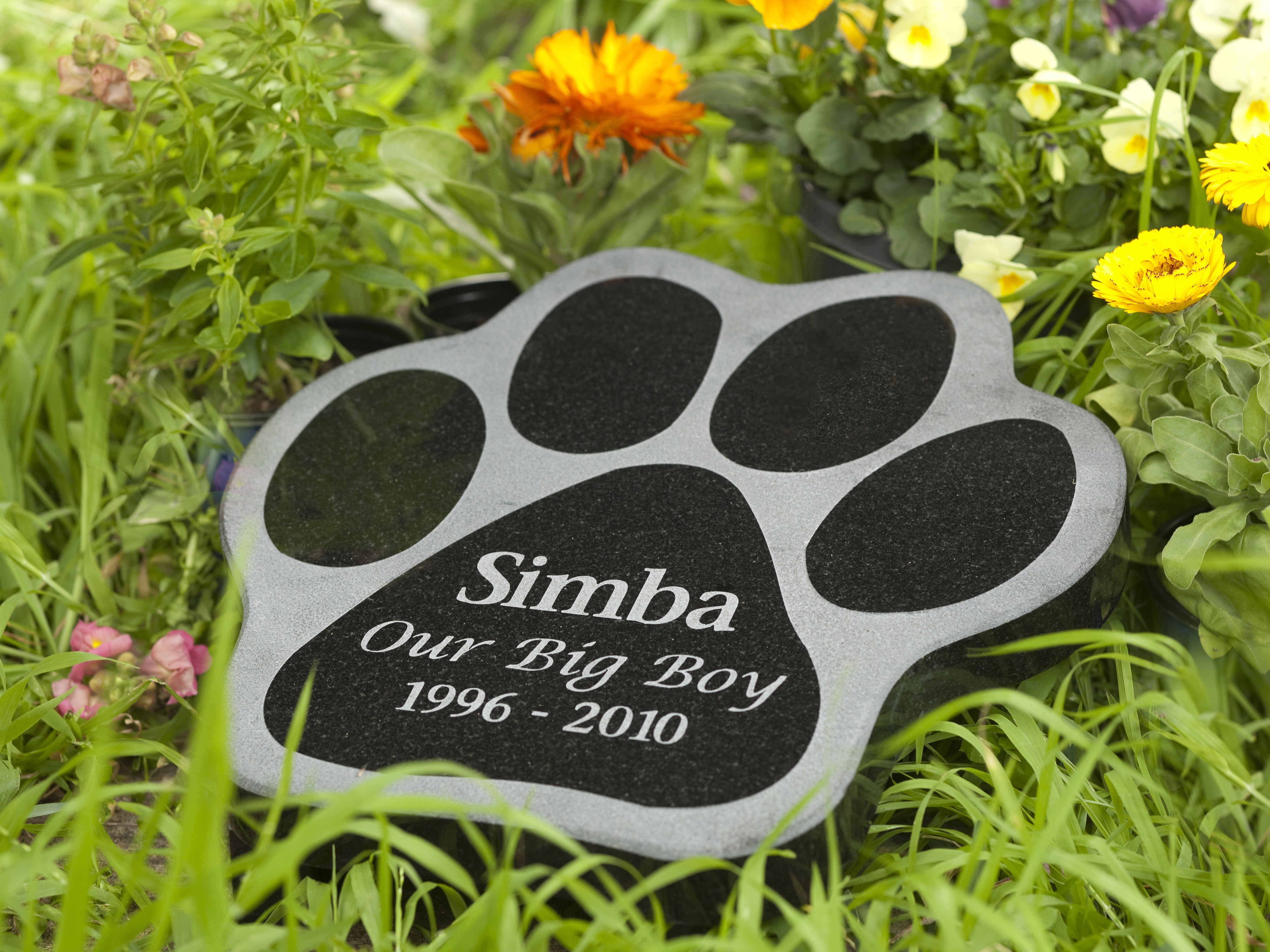 Shaped Granite Plaque Pet Memorial