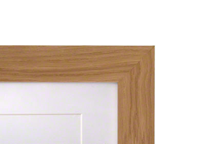 Tribute Frame Pod with Ashes Pet Urn