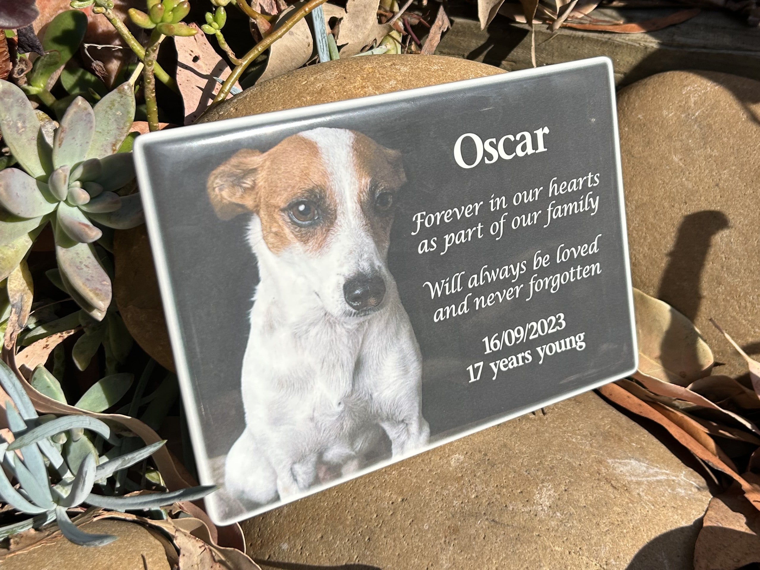 Photo Ceramic Plaque Pet Memorial