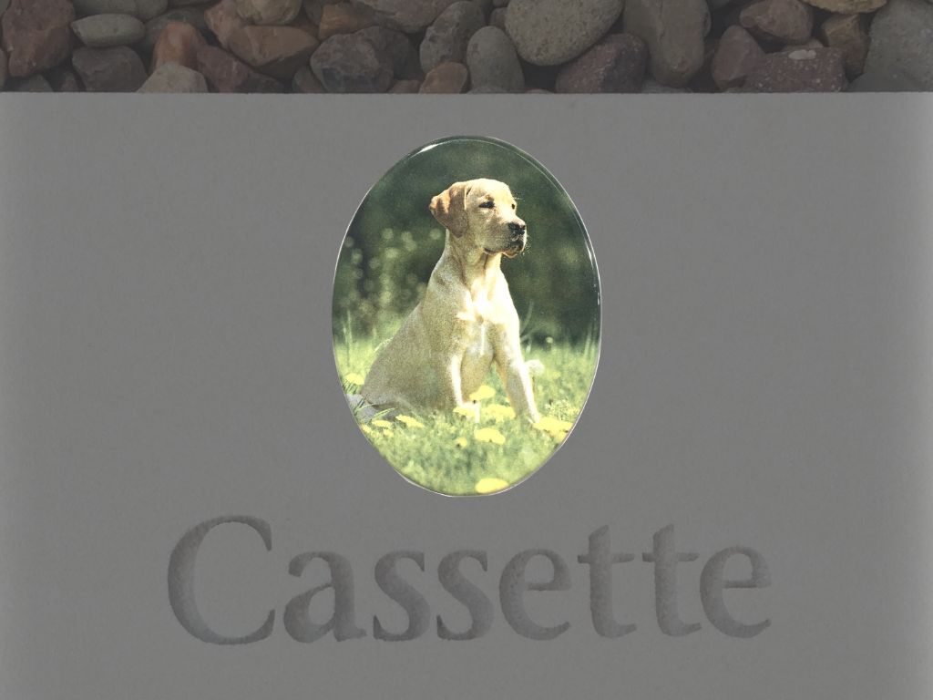 Stainless Steel Oval Photo Plaque Pet Memorial