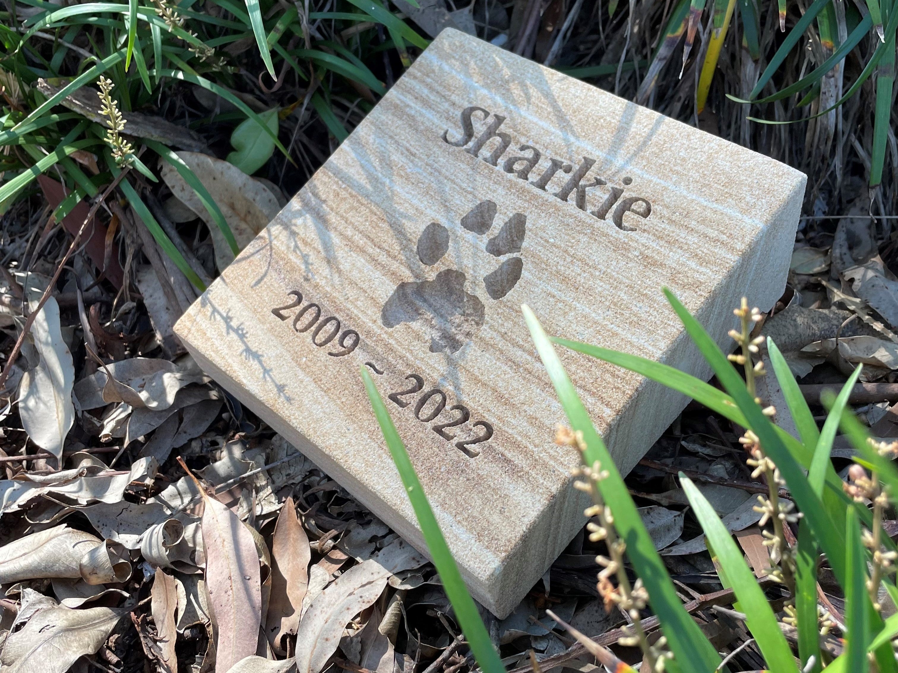 Forever Paw Print In Stone
