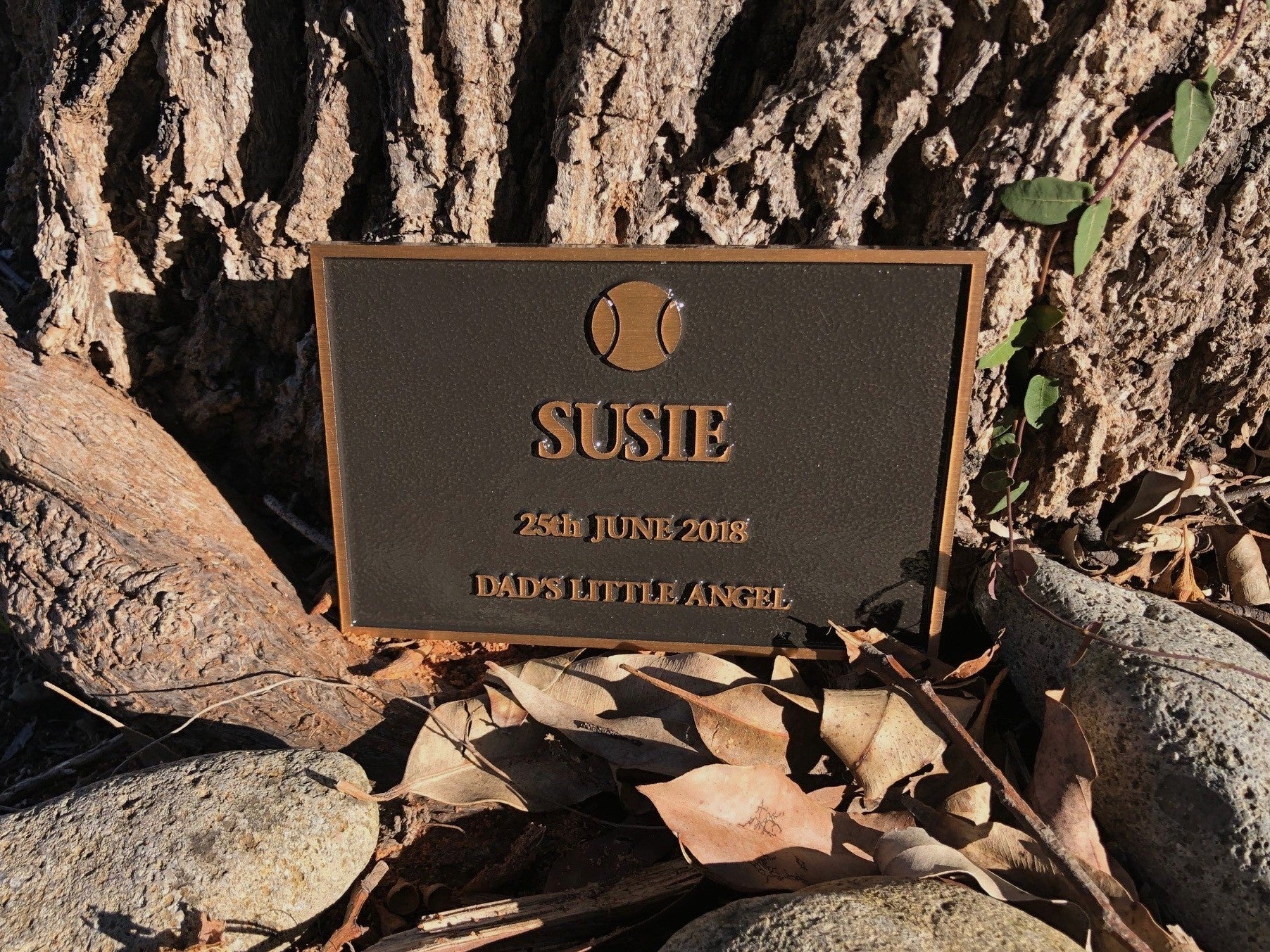 Bronze Plaque Pet Memorial