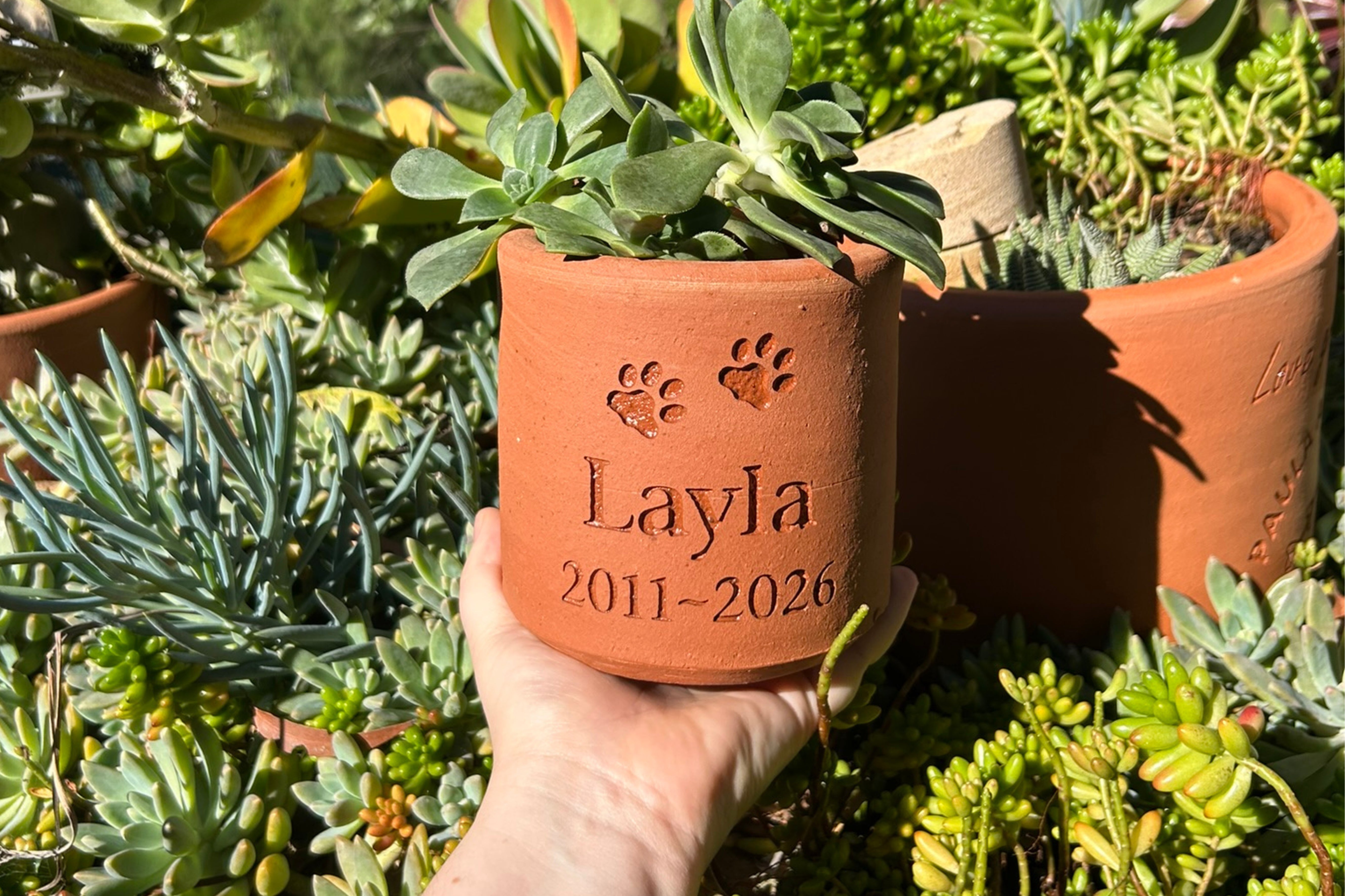 Plant Pot Pet Memorial - Small