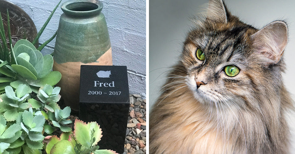 Buying a Pet Memorial in Australia