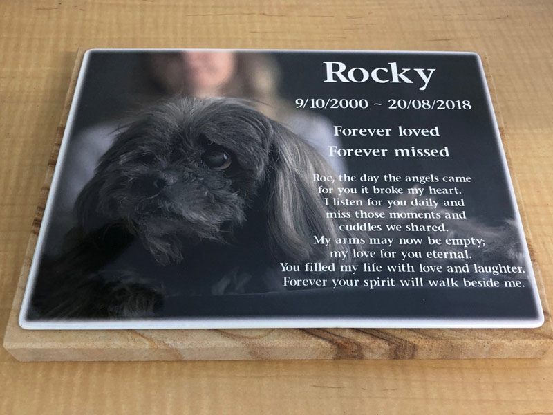 Stainless Steel Photo Plaque Pet Memorial
