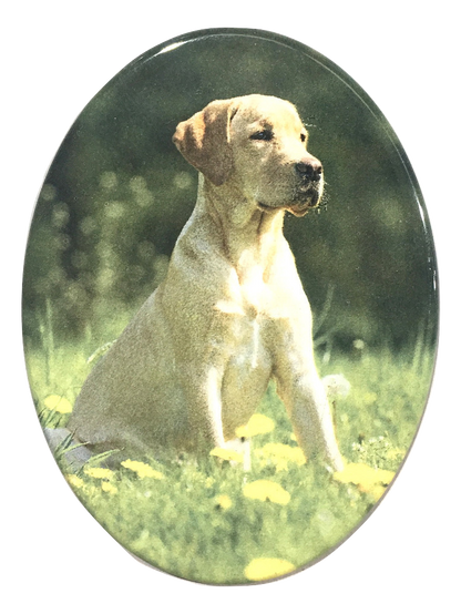 Stainless Steel Oval Photo Plaque Pet Memorial