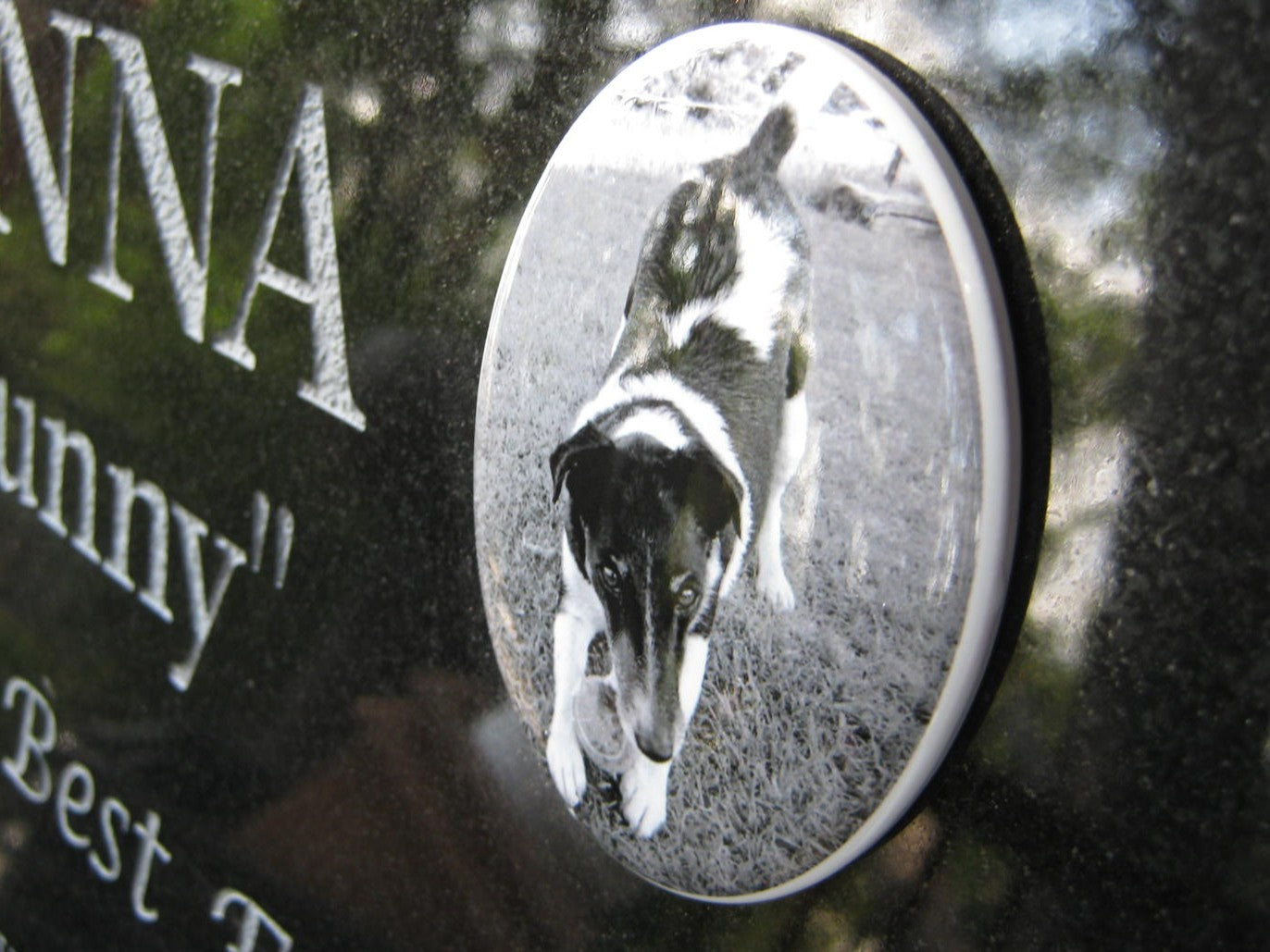 Shaped Granite Plaque Pet Memorial
