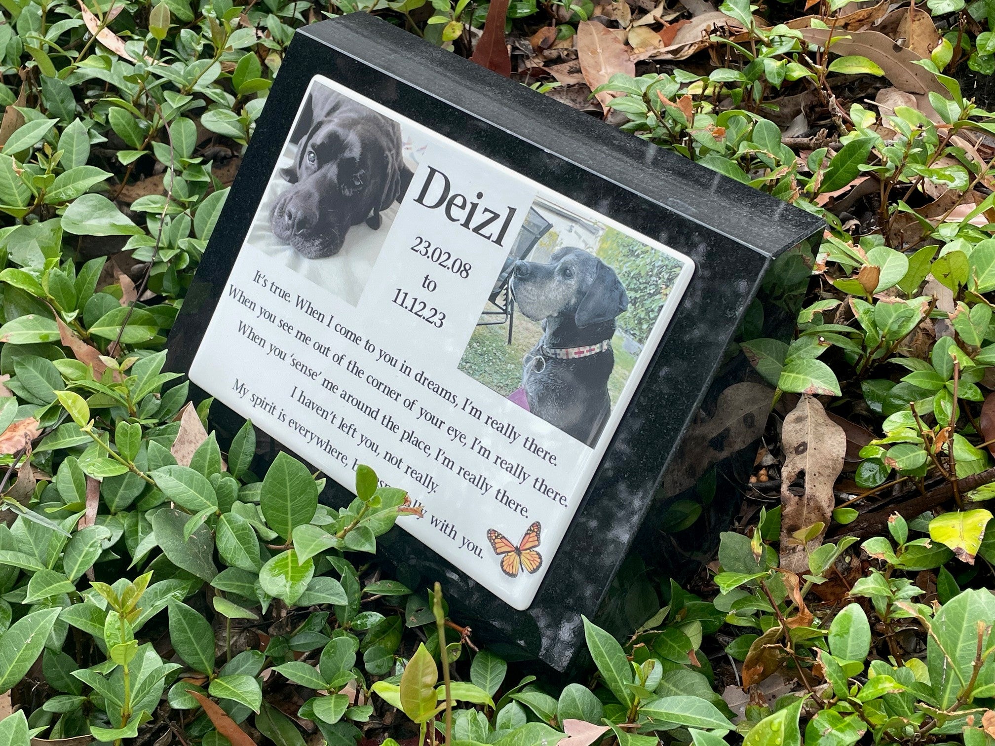 Granite Desk/Pillar Pet Headstone - Photo ceramic