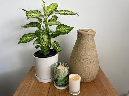 EarthUrn - Australian Made Artisanal Clay Urn