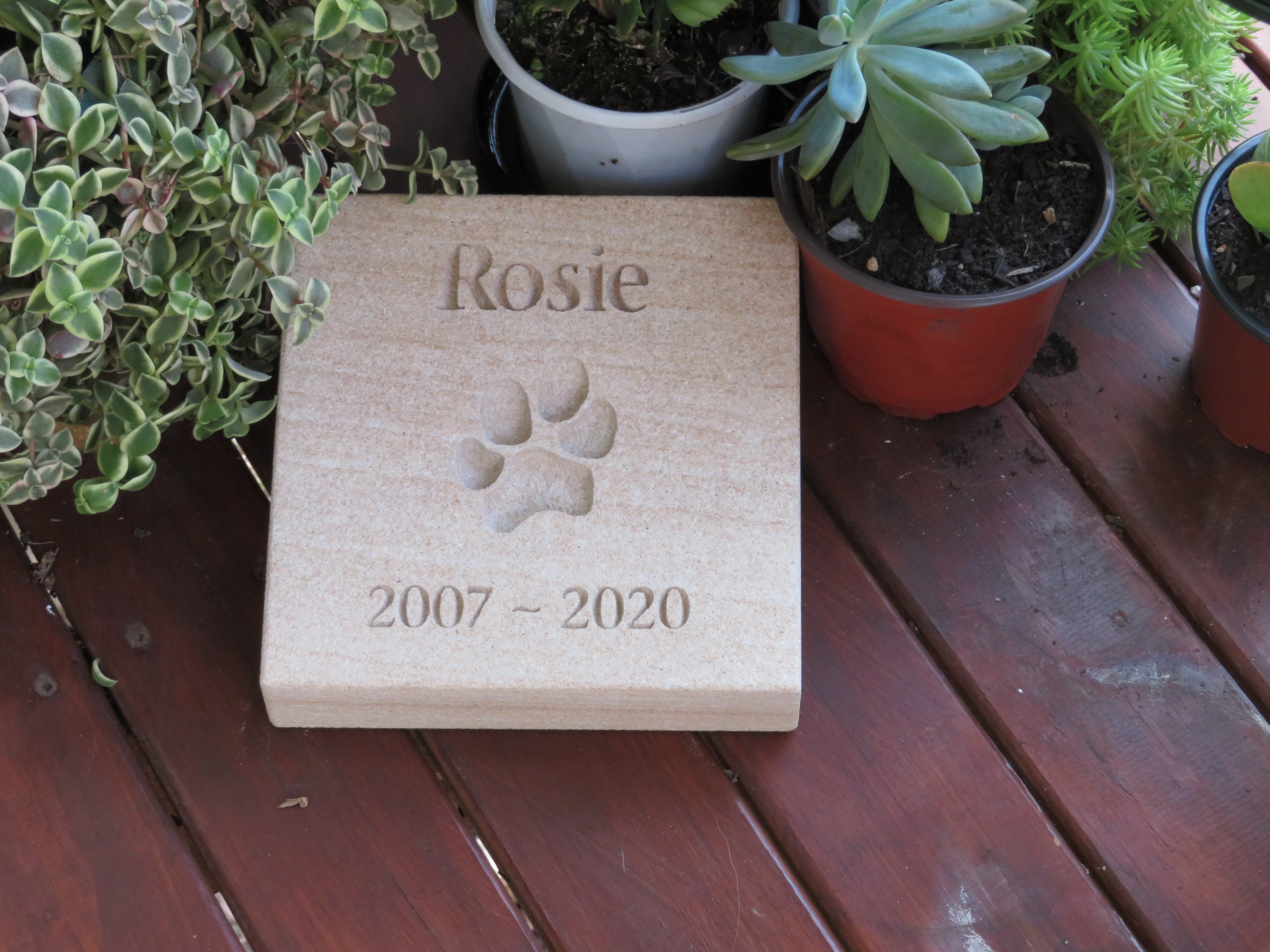 Forever Paw Print In Stone